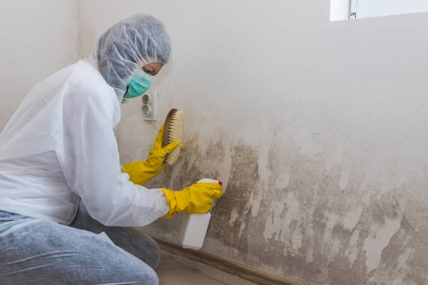 Best Crawl Space Mold Removal  in Veneta, OR