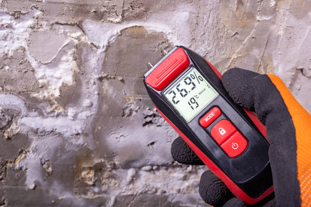 Best Mold Cleaning Services  in Veneta, OR